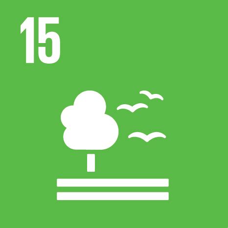 SDG 11: To ensure sustainable waste services, we must value waste ...