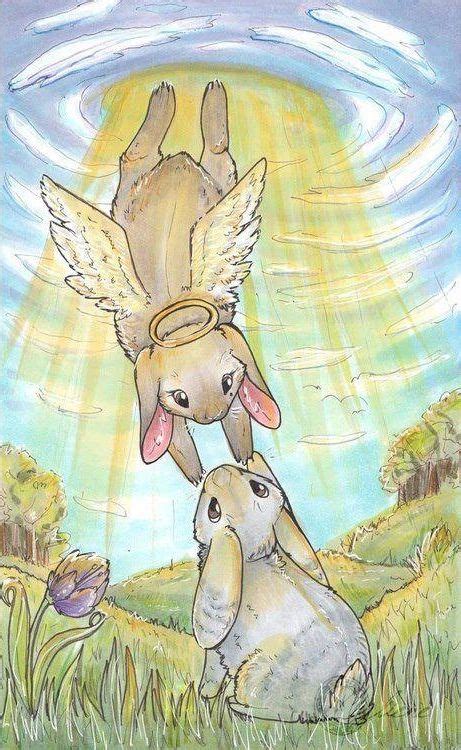 Busta My Bunny Angel Such A Good Boy Xo Dp Bunny Art Bunny