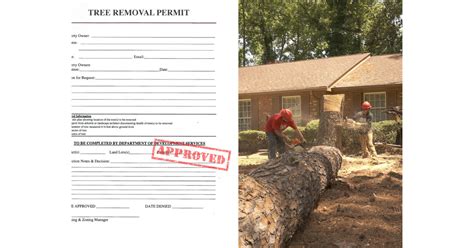 Tree Removal Permit Launches And Becomes Nationwide Resource For Local