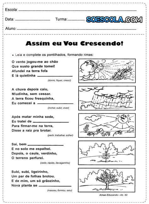 Atividade Sobre A Estrutura Da Terra 3 Ano Várias Estruturas