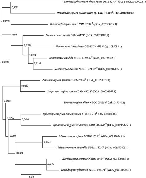 Phylogenomic Tree Computed From Whole Genome Sequences Of Strain K T