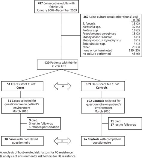 Flow Chart Of Participants In The Study FQ Fluoroquinolone