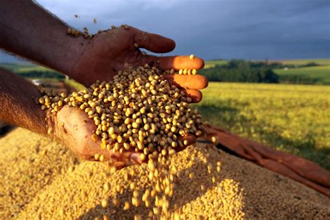 Agricultor Fique Atento Aos Cuidados Necess Rios Para Proteger A