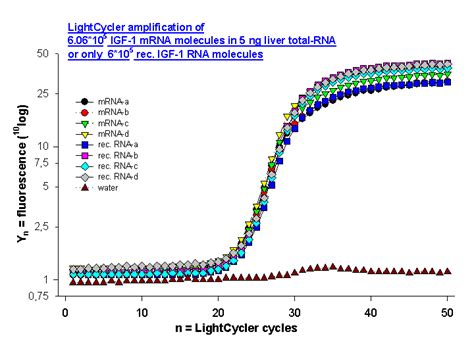 Bioinformatics Pcr Efficiency In Real Time Pcr