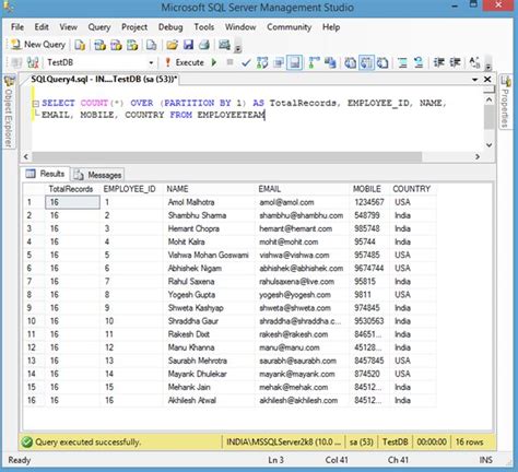 Get Row Count Including Column Values In Sql Server