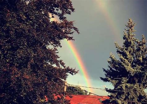 L Arcobaleno Dei Lettori VareseNews Foto