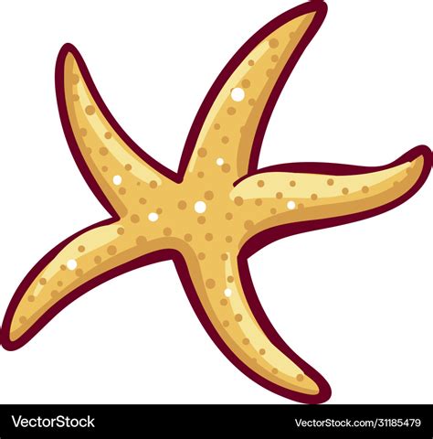 Starfish Icon Tropical And Summer Beach Royalty Free Vector