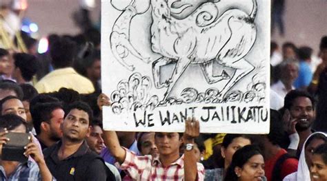 Jallikattu ban: Waves of protest hit Tamil Nadu, CM Panneerselvam to ...