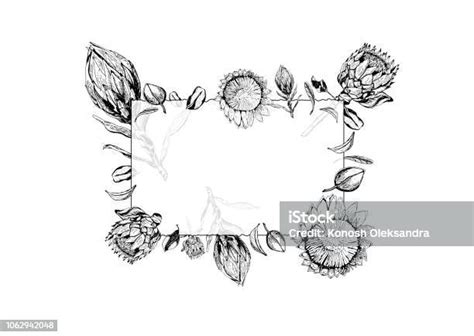 Transparent Glass Frame With King Protea Flowers Buds And Leaves Around