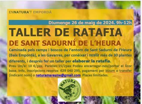 Nova edició del taller per fer ratafia de les Gavarres a Sant Sadurní