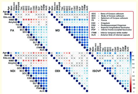 Correlation Matrix Association Between Demographics Age Sex Download Scientific Diagram