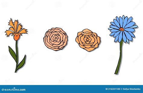 Satz Von Doodle Hand Gezeichnet Blumen Rose Narzisse Vektor Abbildung