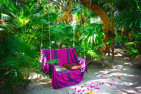 Tree Swing At Coco Plum Gardens Caye Caulker Belize Photograph By Lee