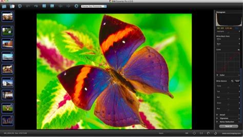 Raw Converter Pro Mac Download Review Screenshots