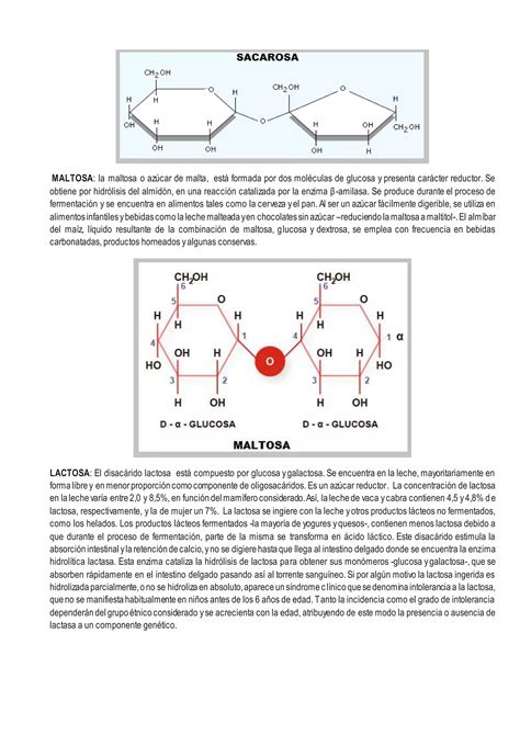 Glúcidos o hidratos de carbono PPT