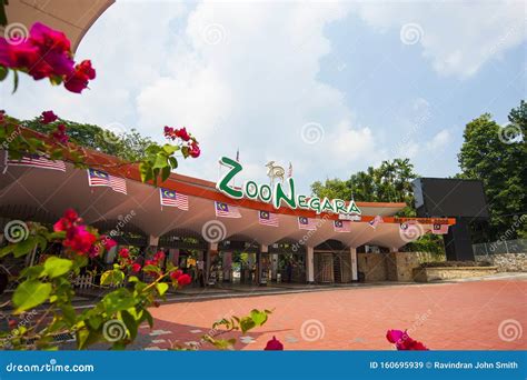 Zoo Negara Malaysia Editorial Stock Image Image Of Countrys 160695939