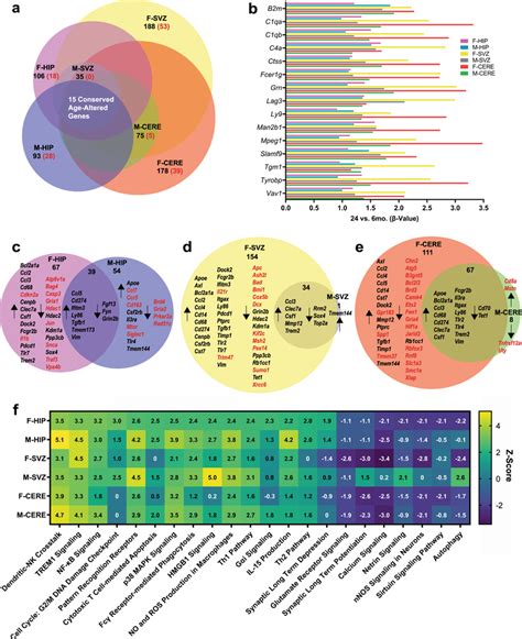 Gene Expression Signatures Of Senescence And Inflammation Are Download Scientific Diagram