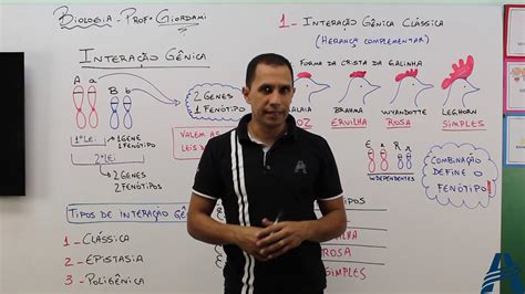 Herança Complementar - Interação Gênica Clássica (Herança Complementar) - YouTube