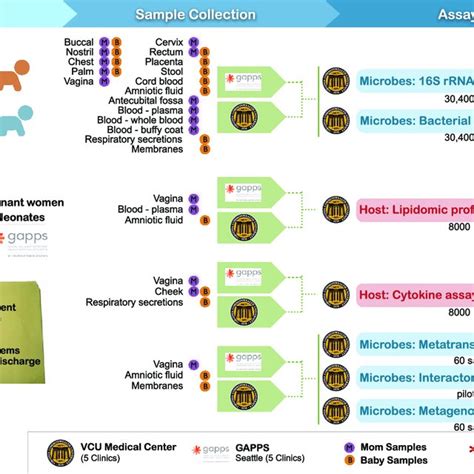 Integrative Multi Omic Analysis Of The Vaginal And Related Microbiomes