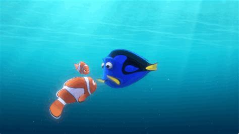 Disney/Pixar's Finding Dory GIF - Find & Share on GIPHY | Finding dory, Disney gif, Disney ...