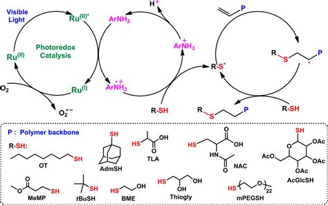 Visible Light Photocatalytic Thiolene Reaction An Elegant Approach