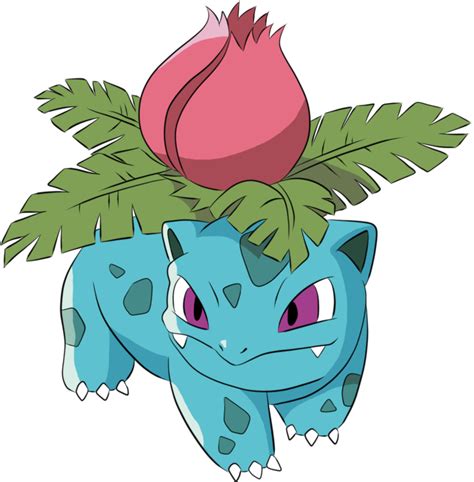 Ivysaur Pokemon Pokemon Mug Anime