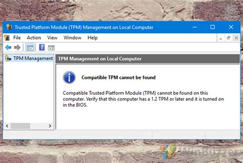 How To Check For Trusted Platform Module Tpm Chip On Windows 10 Images