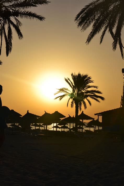 Sunrise On Djerba Beach Playa