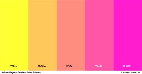 Yellow Magenta Gradient Color Scheme Palettes