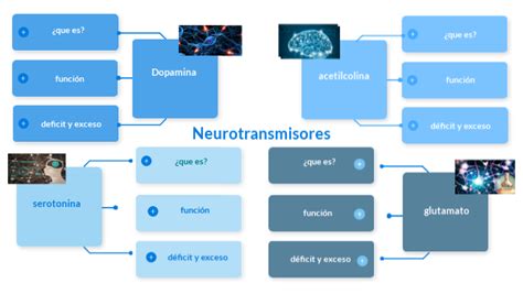 Mapa Conceptual Neurotransmisores