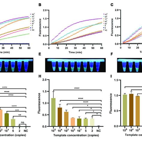 Determination Of Sensitivity Of One Tube Rpa Crispr Method For H