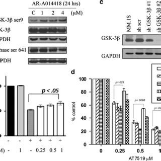 Inhibition of GSK 3β attenuates AT7519 induced apoptosis a MM 1S