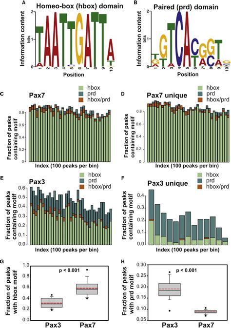 Transcriptional Dominance Of Pax In Adult Myogenesis Is Due To High