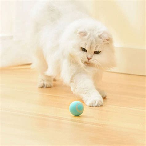 Gravity Smart Cat Ball Toys Catnip Sounding Interactive Rolling