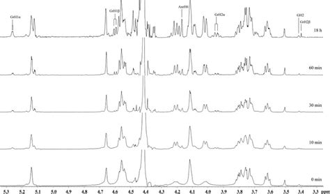 H Nmr Monitoring Of The Hydrolysis Of Agarose By Agab From Bottom To