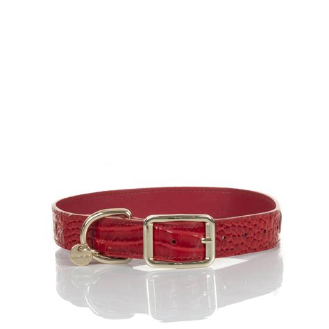 Brahmin Large Pet Collar Carnation Melbourne GzVWHQeR 27 00