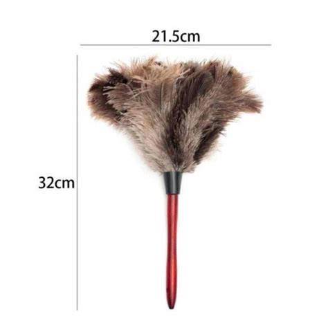 HT09653 ASPIRATEUR INDUSTRIEL Plumeau à plumes d autruche avec brosse à