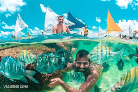 10 Melhores Coisas Para Fazer Em Porto De Galinhas Quais As