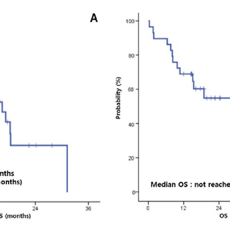 A Progression Free Survival And B Overall Survival Of 28 Patients