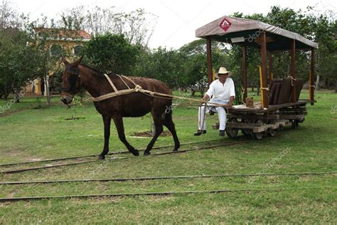 Tecoh Yucatán México 2019 La gente se mueve alrededor de la