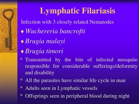 PPT - Lymphatic Filariasis PowerPoint Presentation - ID:145597