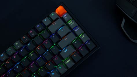 6 Best Quiet Keyboards For Gaming Pro Game Guides