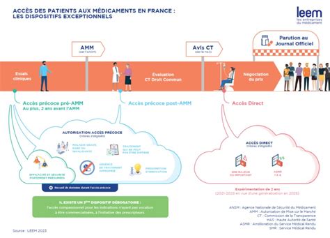 Infographie Acc S Des Patients Aux M Dicaments En France Les