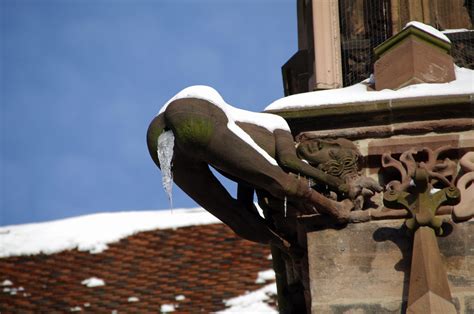 Wasserspeier am Freiburger Münster Hinternentblößer Flickr