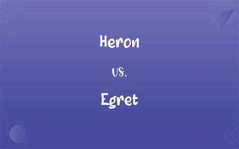 Heron vs. Egret: What’s the Difference?