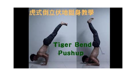 徒手訓練x街頭健身 虎式倒立伏地挺身教學／tiger Bend Push Up Tutorial Youtube