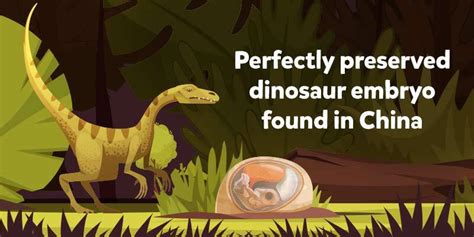 Will We See a Real-life Jurassic Park? This Dinosaur Embryo has the Answer