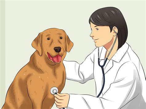 How To Measure A Dogs Pulse 9 Steps With Pictures Wikihow