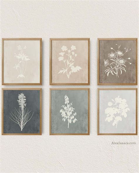 Modern Farmhouse Botanical Prints Set Of 6 Prints Artofit