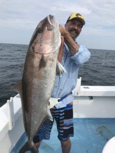 Greater Amberjack Season 2020 Announced | Destin Offshore Charters